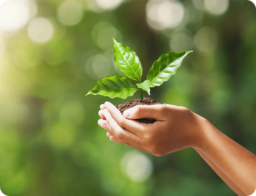 شركة جيانغسو دينغشون للمنتجات الطبية المحدودة